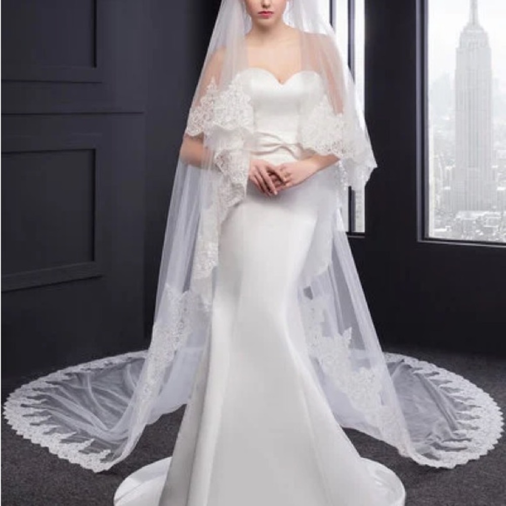 Lace Edge Two Tier Tulle Bridal Cathedral Length Veil With Blusher